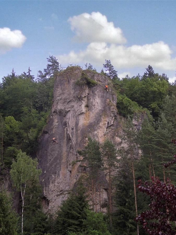 Cafe Pension Krems Вайшенфельд Екстер'єр фото